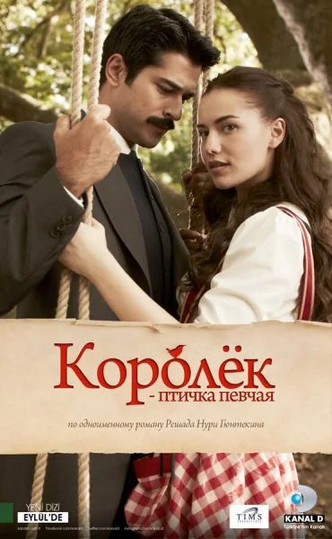 Смотреть онлайн Королёк – птичка певчая 2013 смотреть онлайн